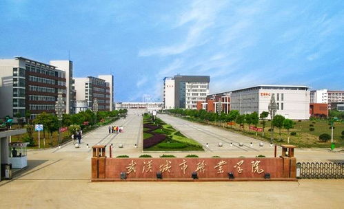 武汉城市职业学院网球学院