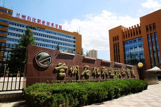 兰州石化职业技术学院2019年第二阶段扩招专项考试招生章程