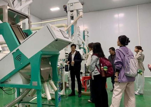 响应 百千万工程 ,广州城市职业学院食品健康学院 红心食匠 团队赴信宜市开展红黑米产业与红色文化融合发展调研