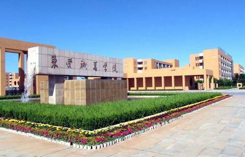 东营职业学院 和东营科技职业学院都是高职 还是专科