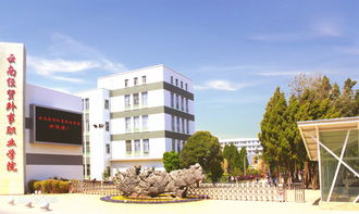 2019云南经贸外事职业学院收费高不高