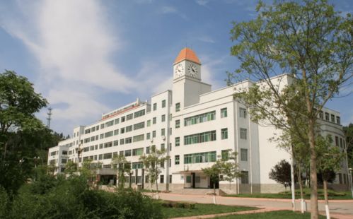 第二批 双高 预测院校潜力榜,高职后浪来了