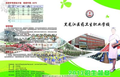 招生简章绿色折页封套图片